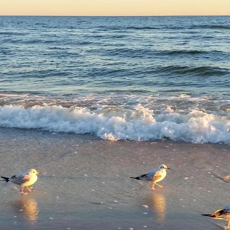 Cozy In With Sauna Jezierzany