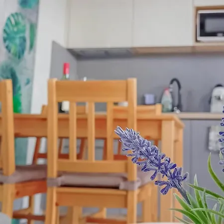 Prachtig In Met Sauna Vakantiehuis