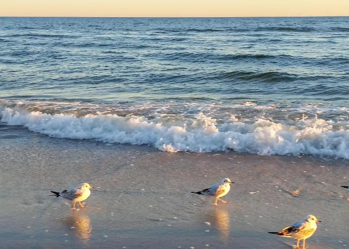 Cozy In With Sauna Jezierzany