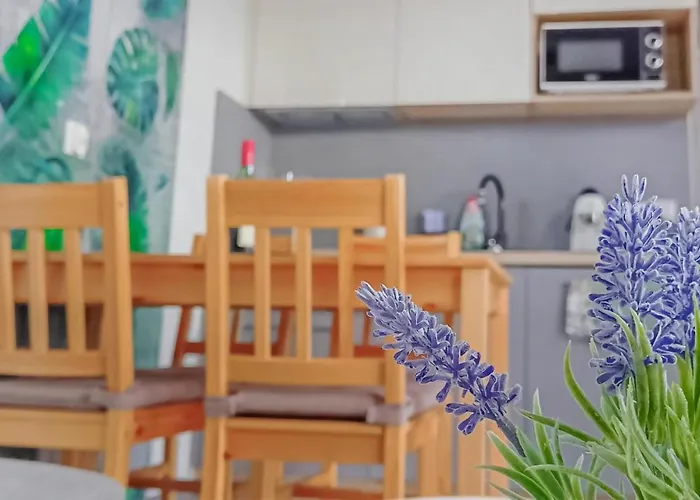 Cozy In With Sauna Tatil Evi